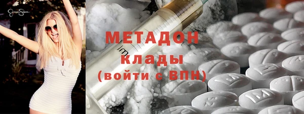 гашик Алексин
