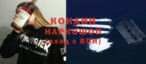 гашик Алексин
