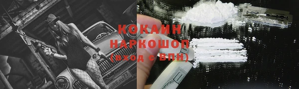 гашик Алексин