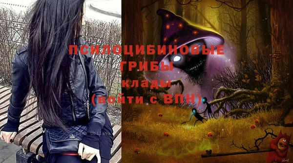 герыч Алзамай