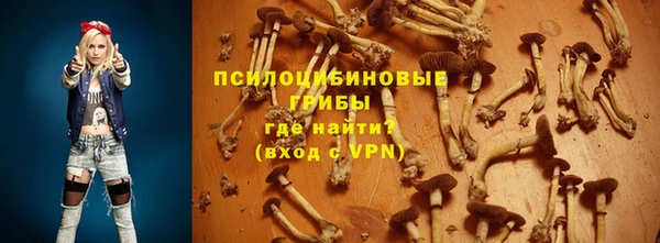 гашик Алексин